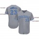 Custom Gray Royal-White Baseball Jersey